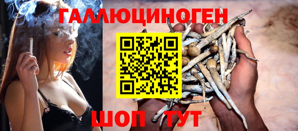 Галлюциногенные грибы GOLDEN TEACHER Тосно