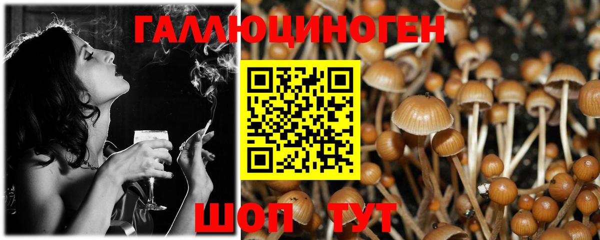 Галлюциногенные грибы Cubensis  Вход с VPN  Тосно  Галлюциногенные грибы MAGIC MUSHROOMS 